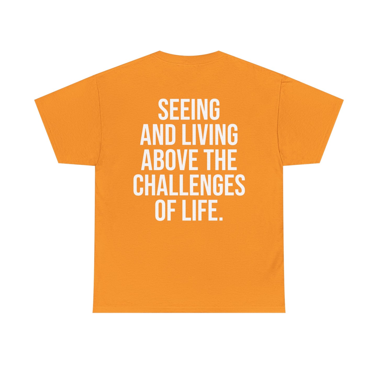ASPIRE GREATNESS TEE "Seeing and Living Above the Challenges of Life."
